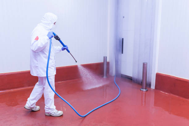 Best House Exterior Washing  in Cypress Gardens, FL