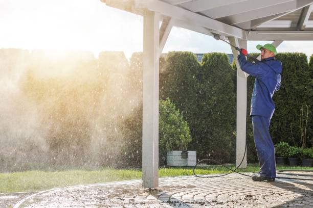 Best Sidewalk and Walkway Cleaning  in Cypress Gardens, FL