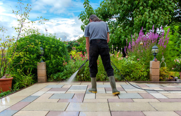 Best Driveway Pressure Washing  in Cypress Gardens, FL